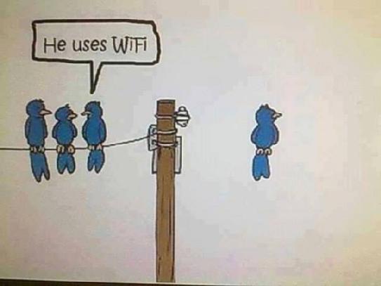 Nicehe uses Wifi - graphic